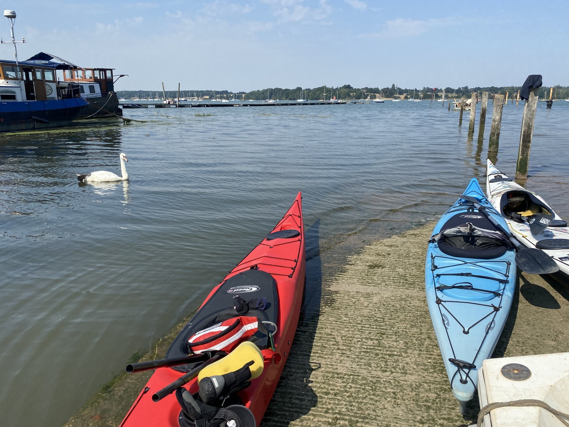 Sea kayaks on the slip with a swan in the background at Pin Mill on the Discover Kayaking trip