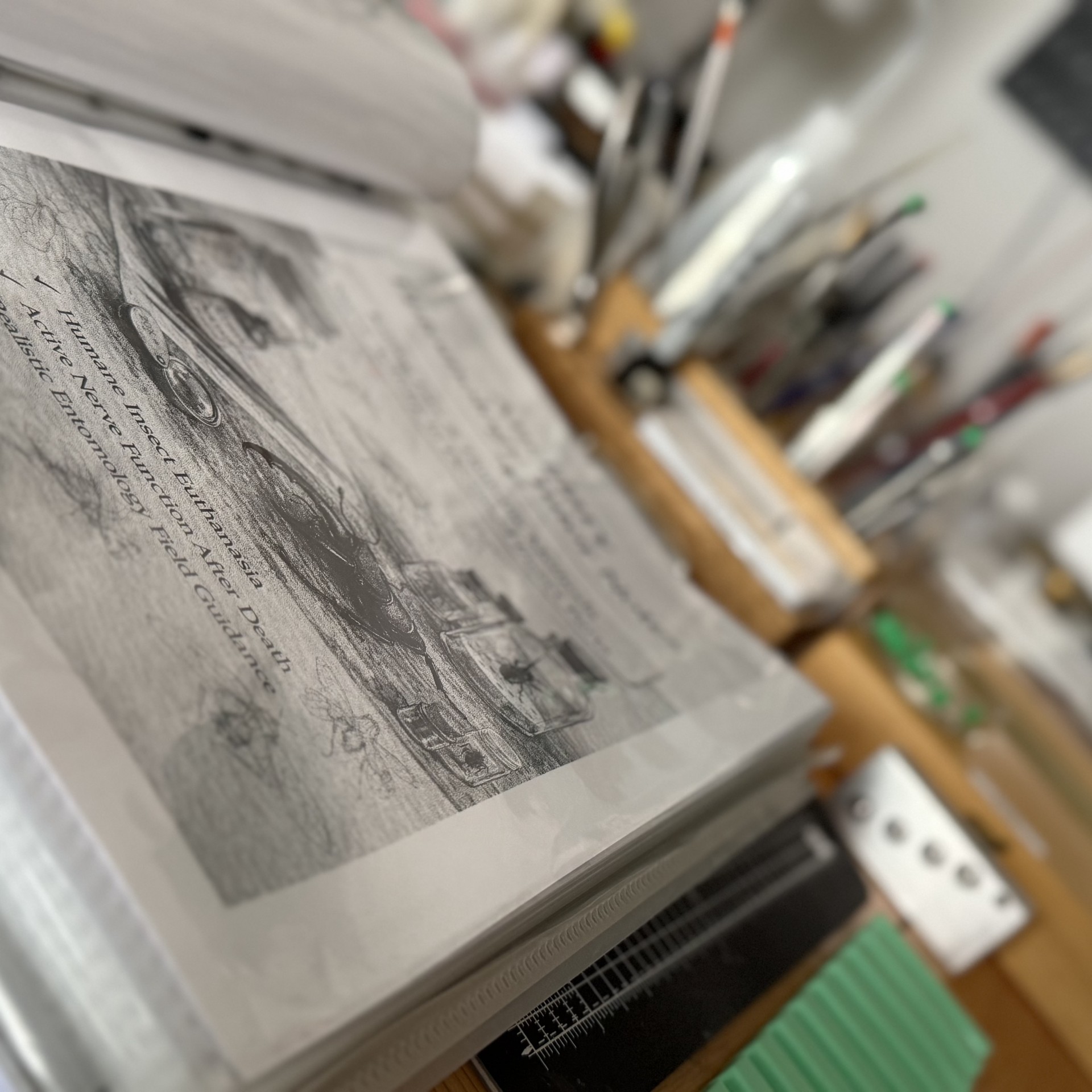 Introduction to Field Entomology course with NOMAD Sea Kayaking.