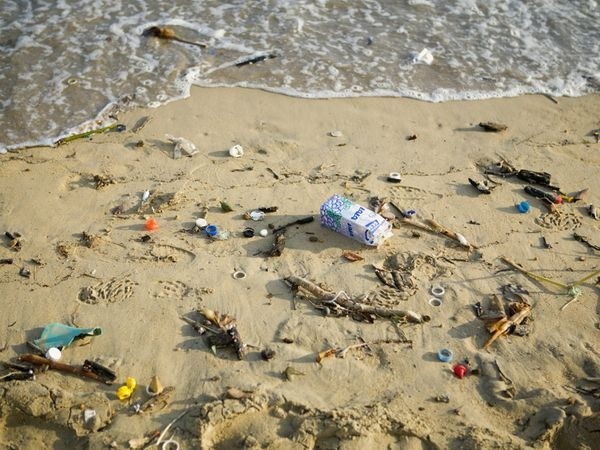 /storage/Cleaning our beaches jetsam on the beach