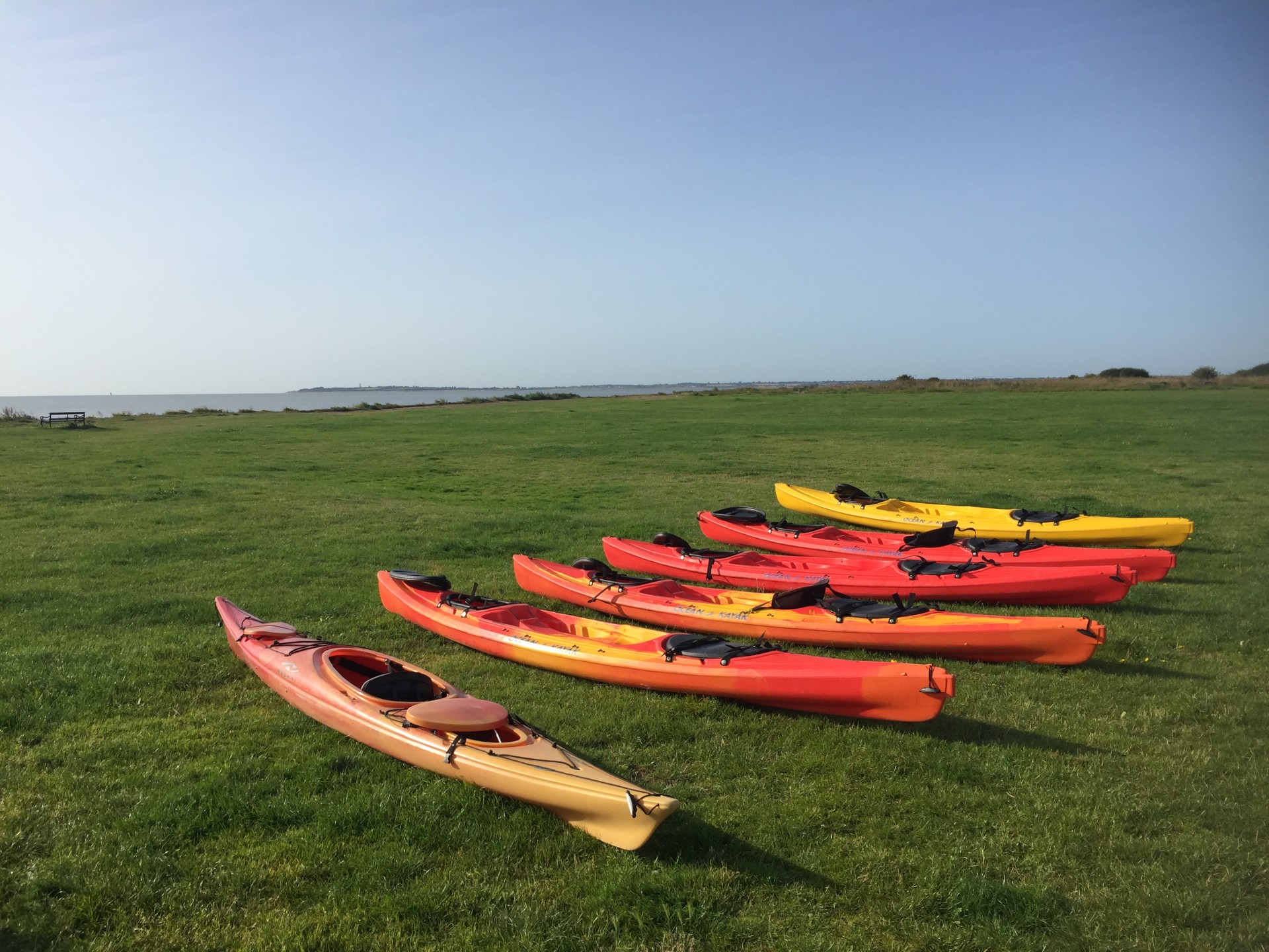 Sea kayaks laid neatly on grass awaiting launch in Essex.