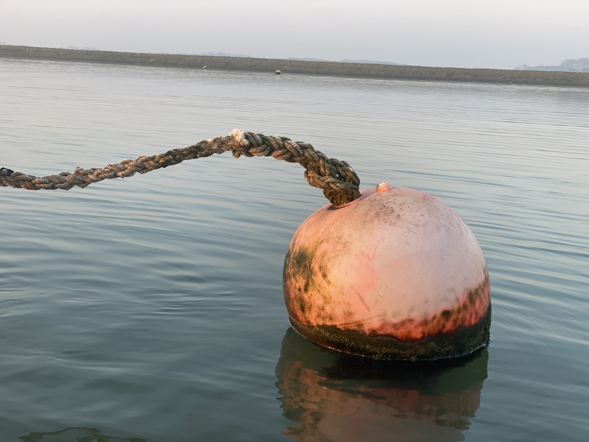 A swing mooring buoy on flat calm waters.