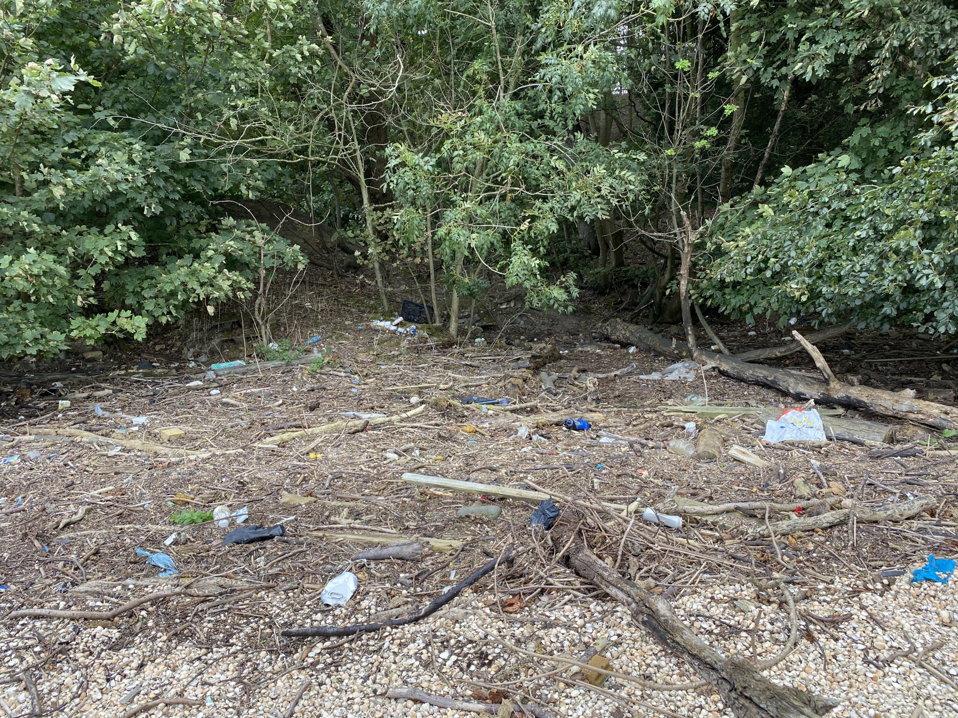 Plastic trash on a beach with a lot of wood jetsam