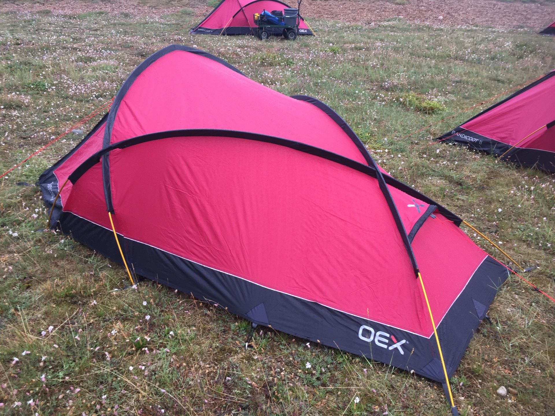 OEX Bandicoot Two Man tent.