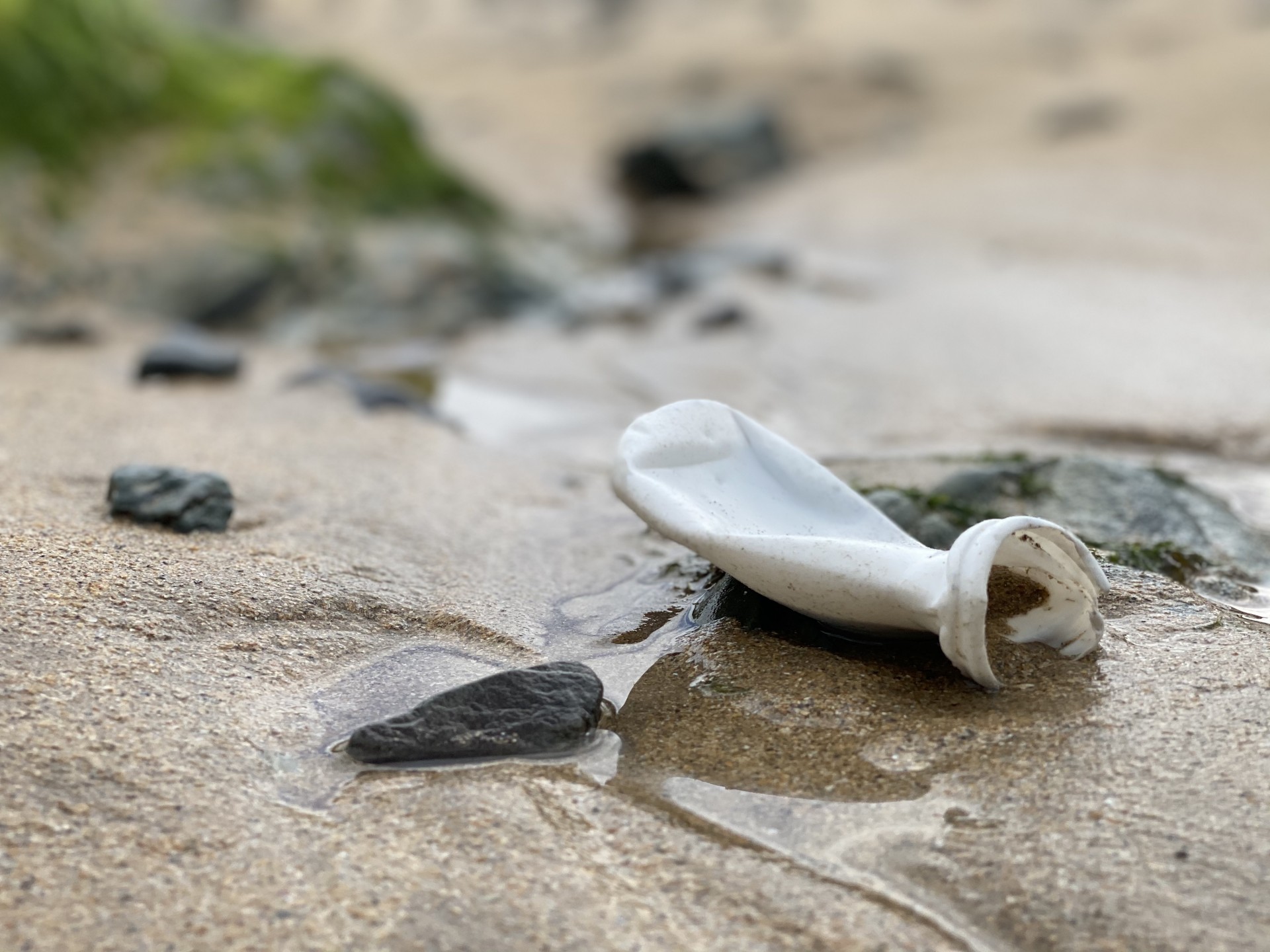 Clearing up plastic on our beaches.