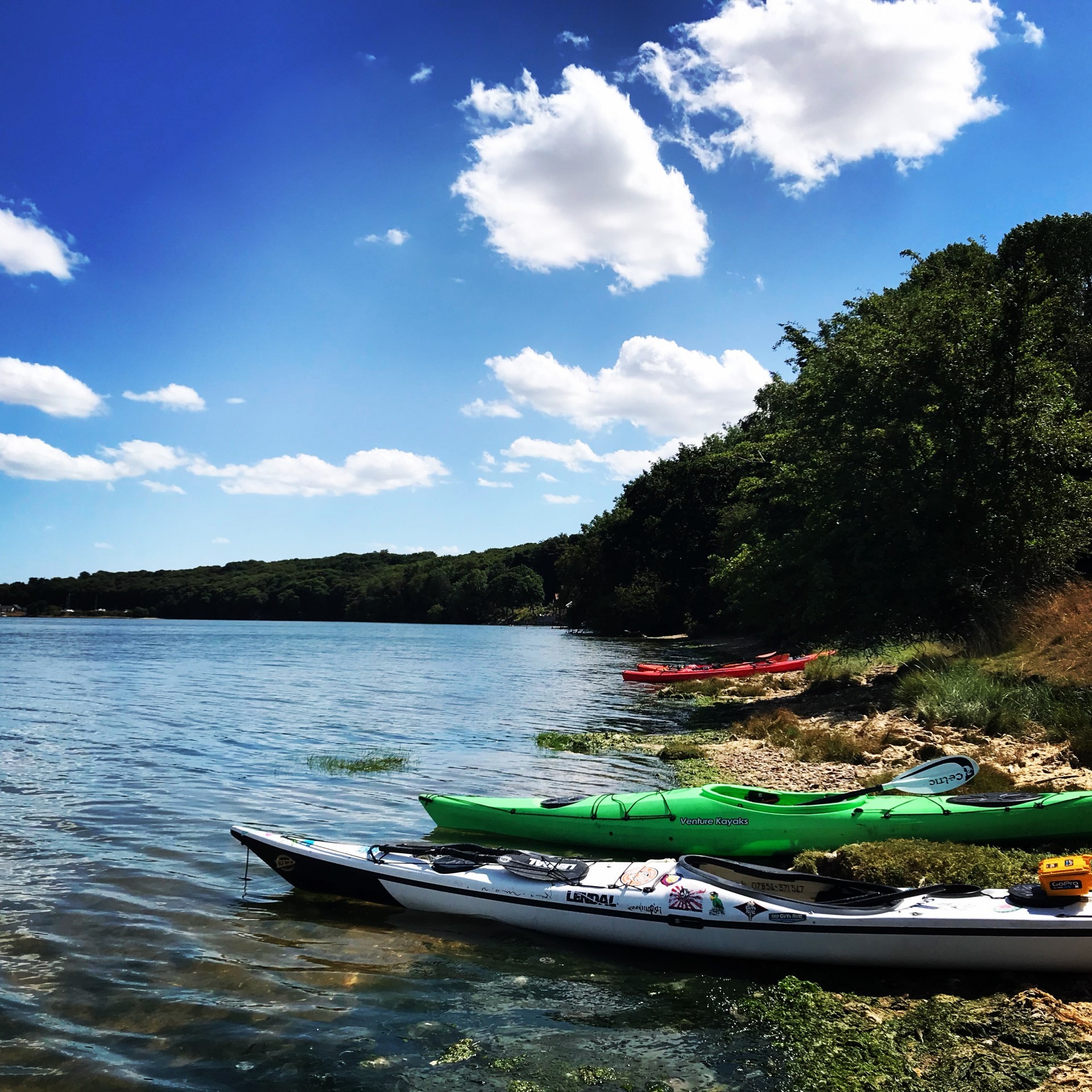 Kayaks beached on the side of a beautiful estuary on a bright sunny day