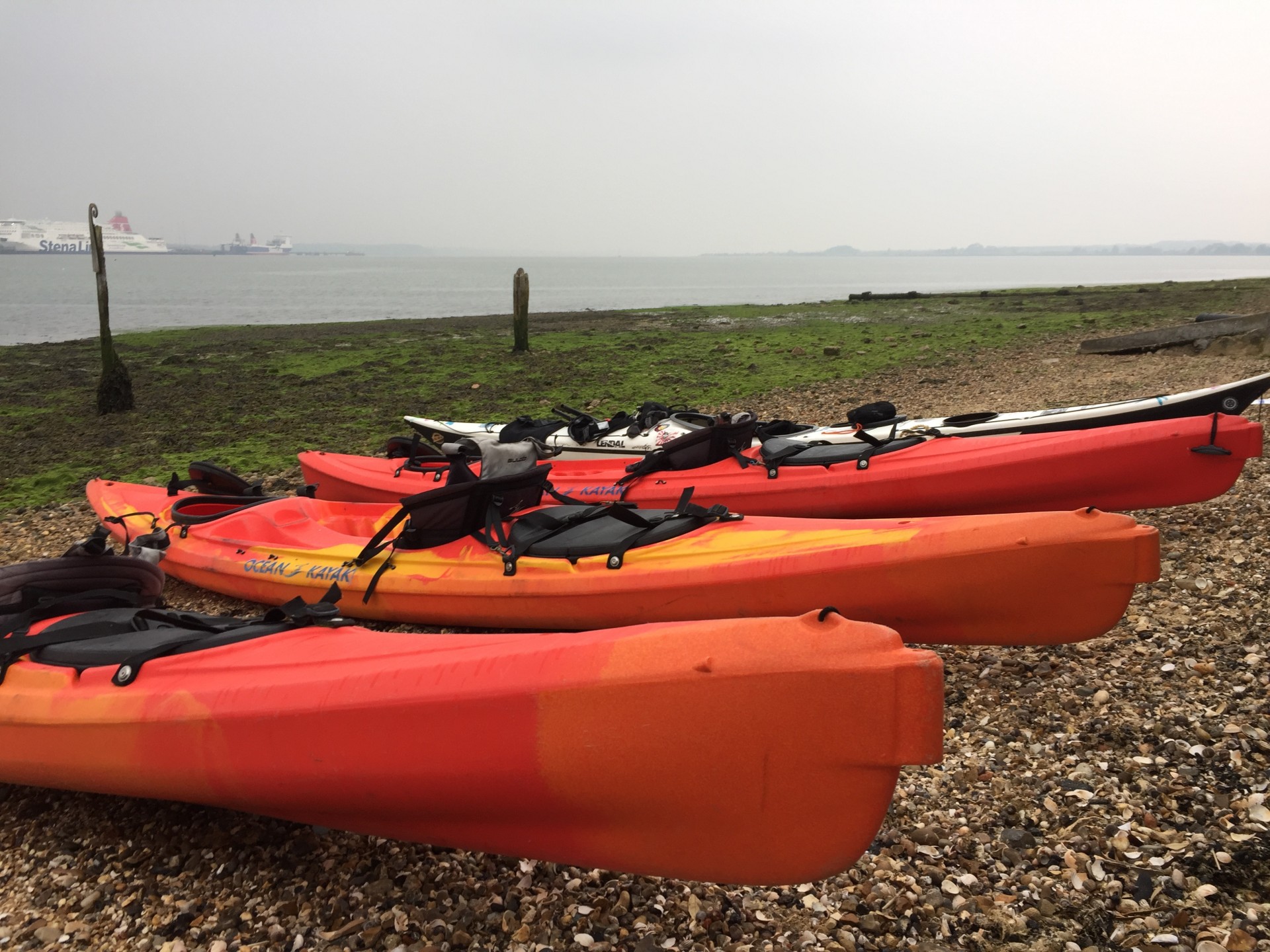 Used Ocean Kayak Scupper Pro For Sale.