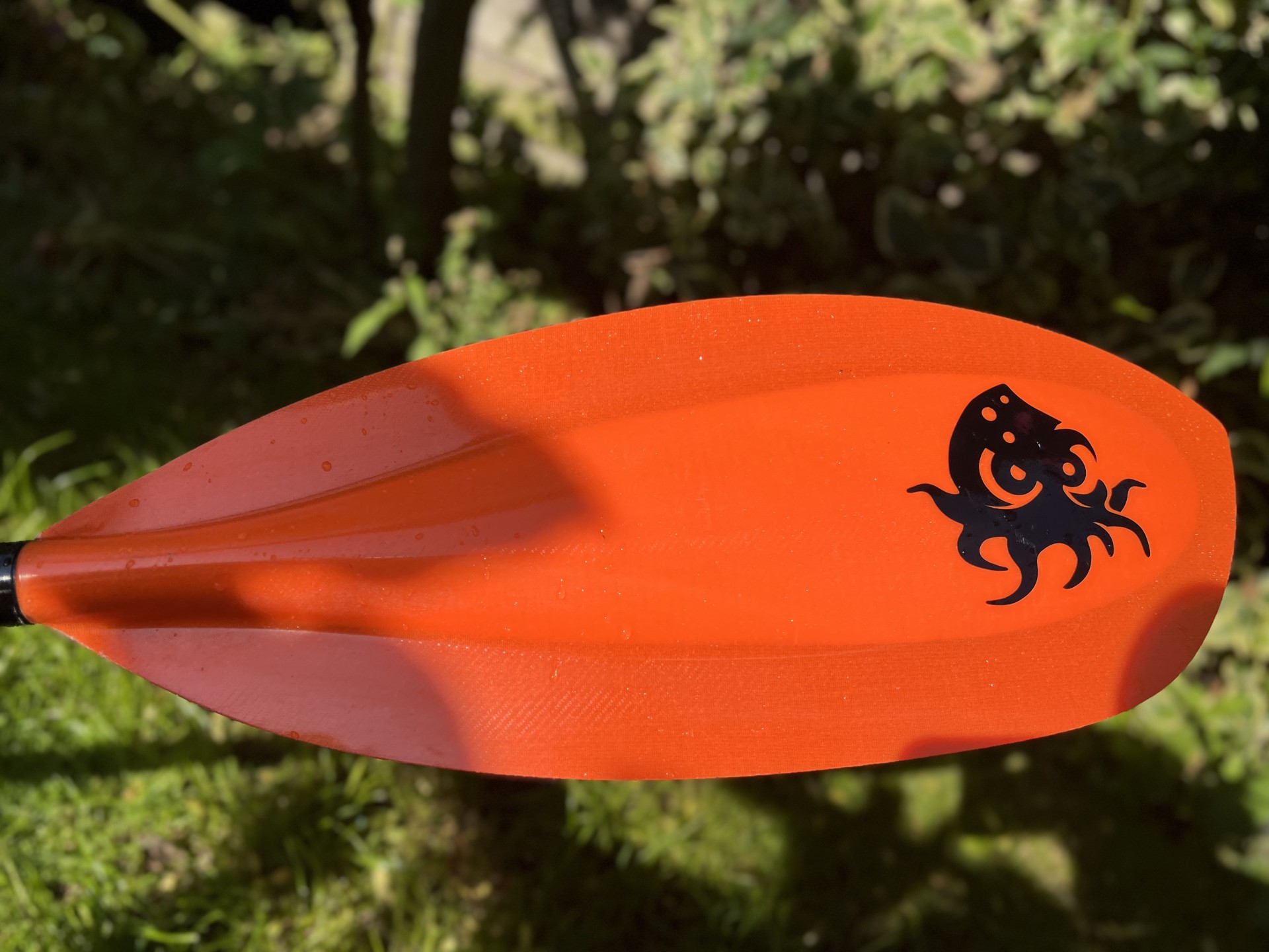 Kinetic shape with reinforced spine & NOMAD Sea Kayaking kraken.