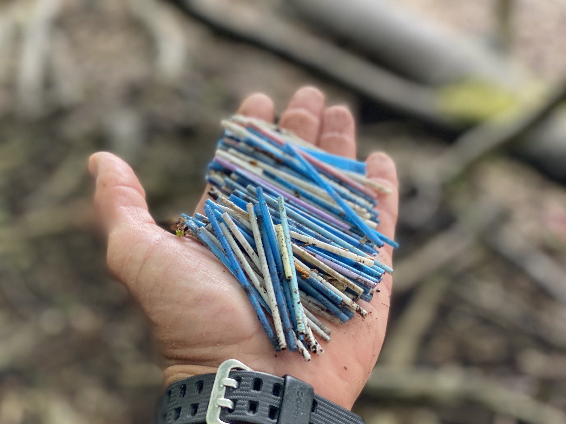 Thousands of straws collected on our 'Charity Beach Cleans.'