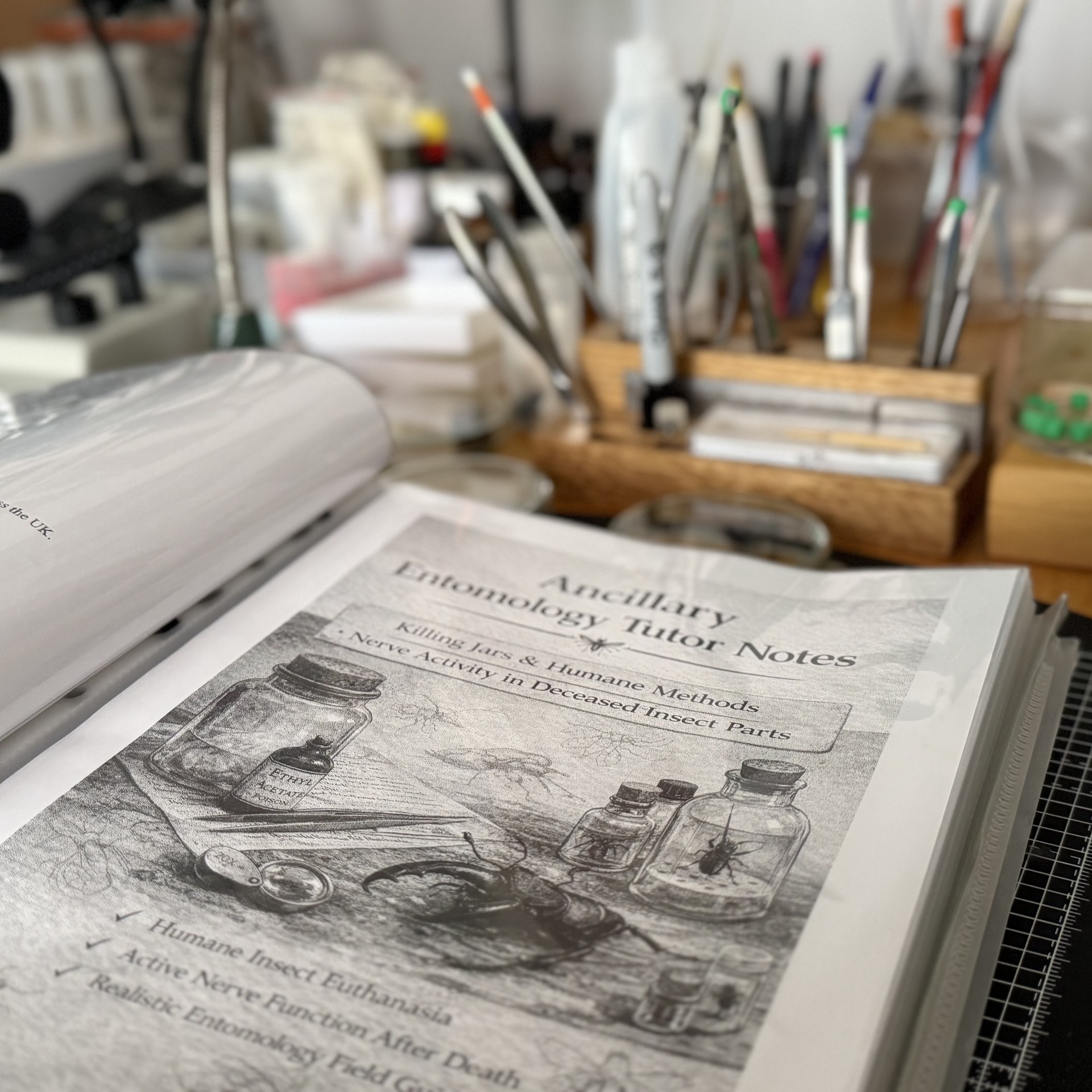 A learning community of entomology enthusiasts in the NOMAD Entomology Club.