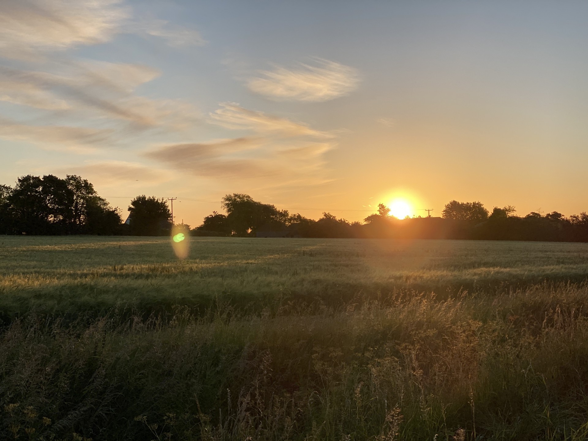 Sunset view over a beautiful grass meadow with the shoreline behind us