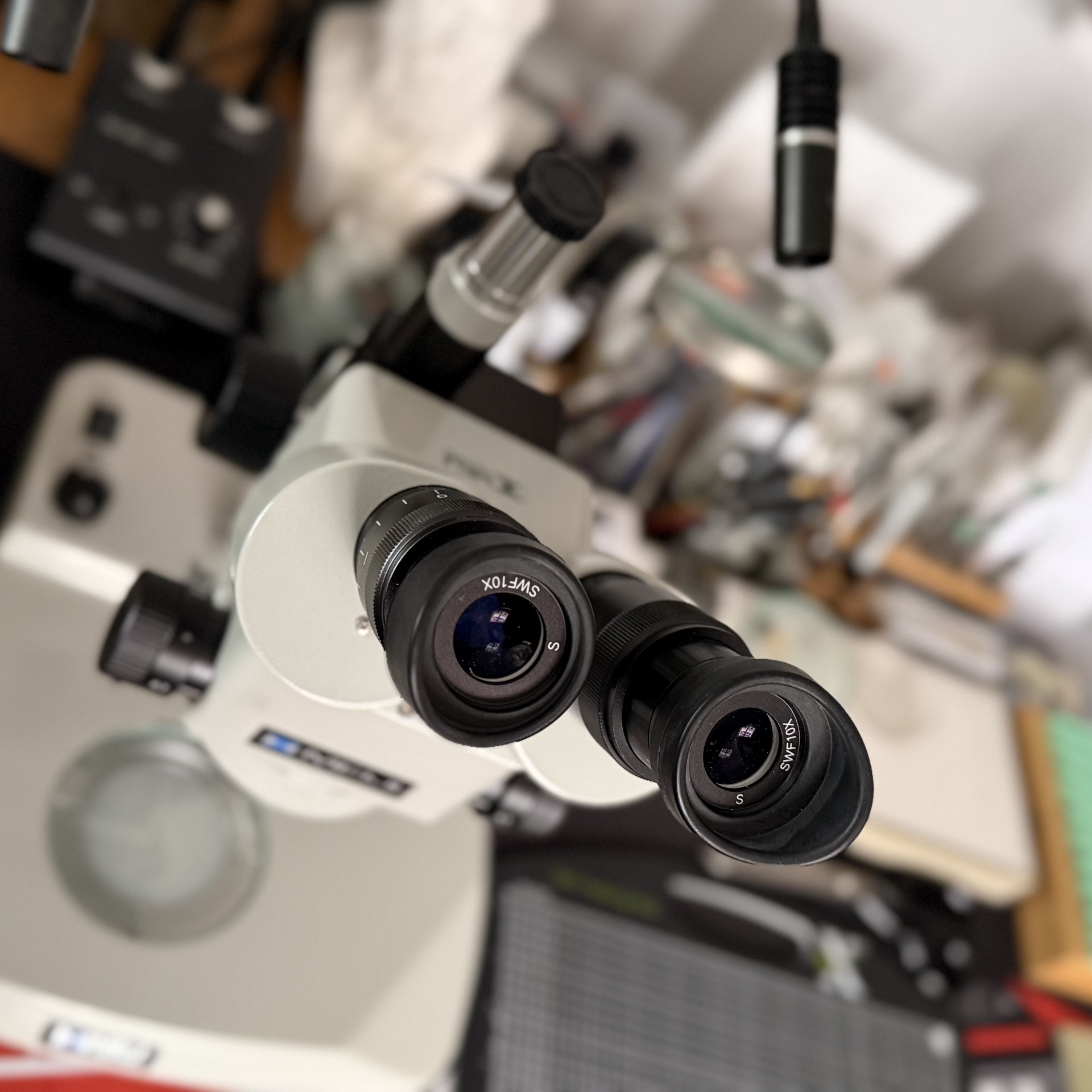 Entomology Club members have access to exclusive digital resources including bench identification and specimen curation.