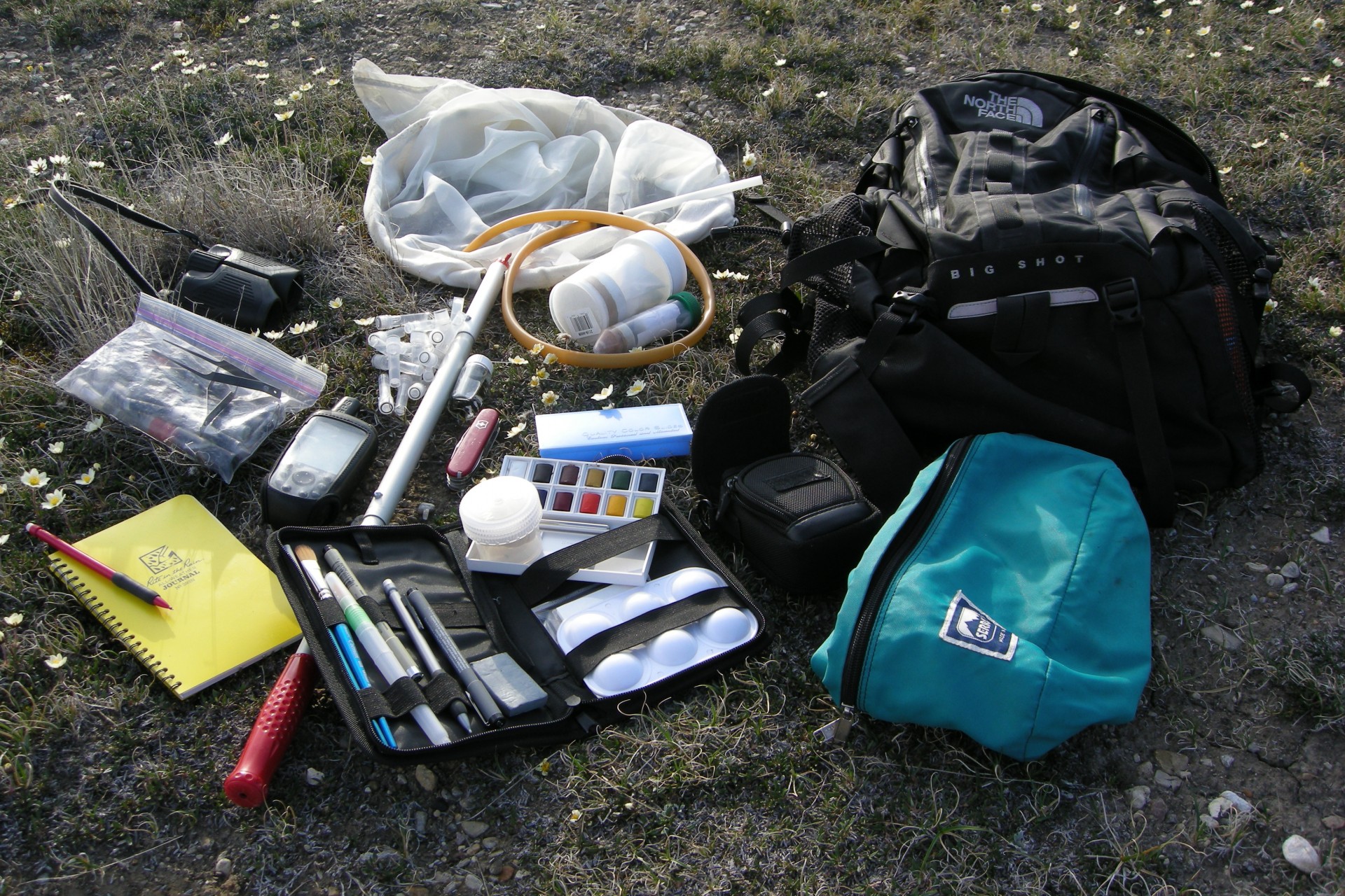 Field bag content on the Introduction to Field Entomology course in Suffolk.