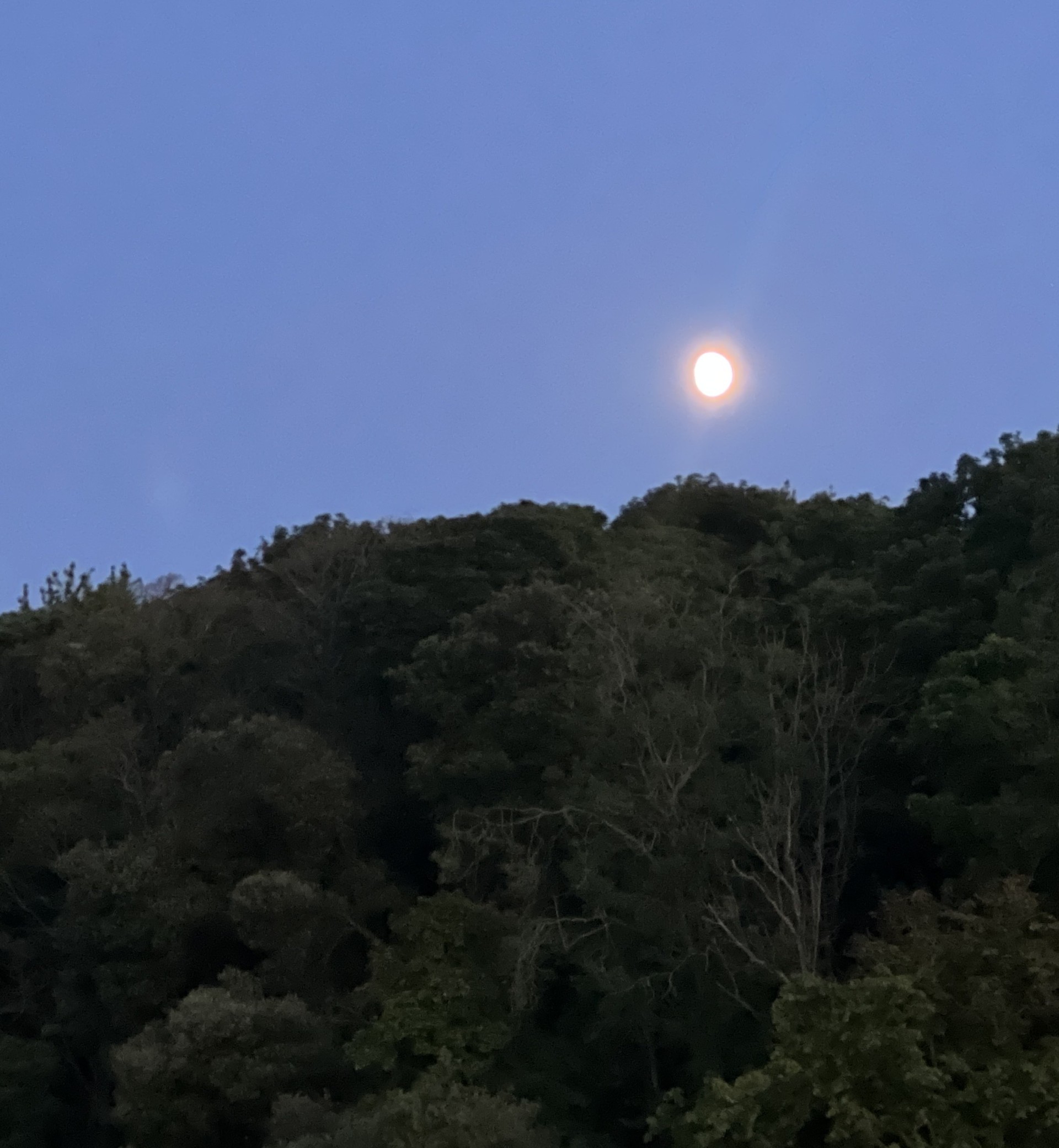 Orwell estuary with full moon.