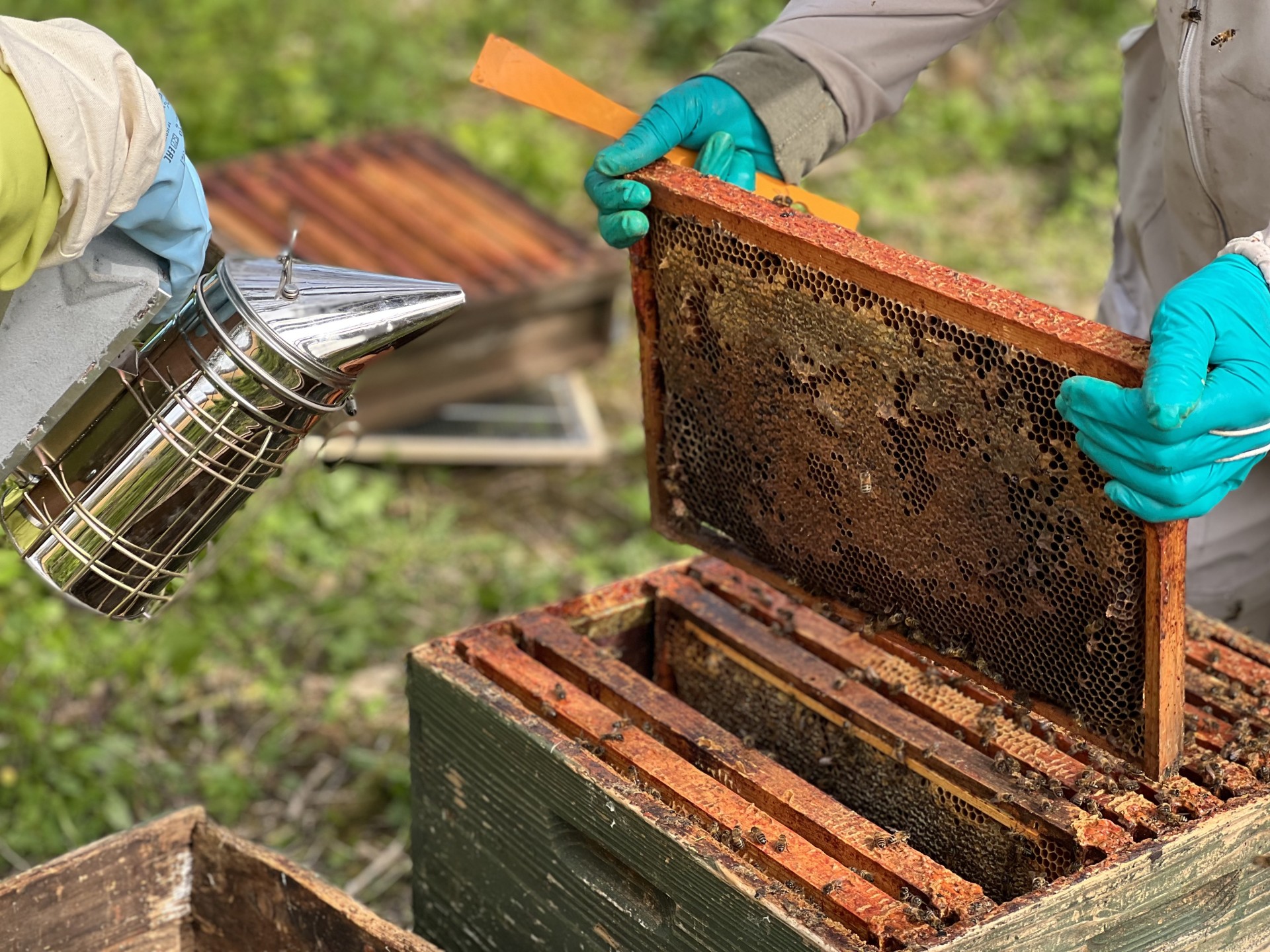 Smoking the frame on a NOIMAD Community Projects bee hive.