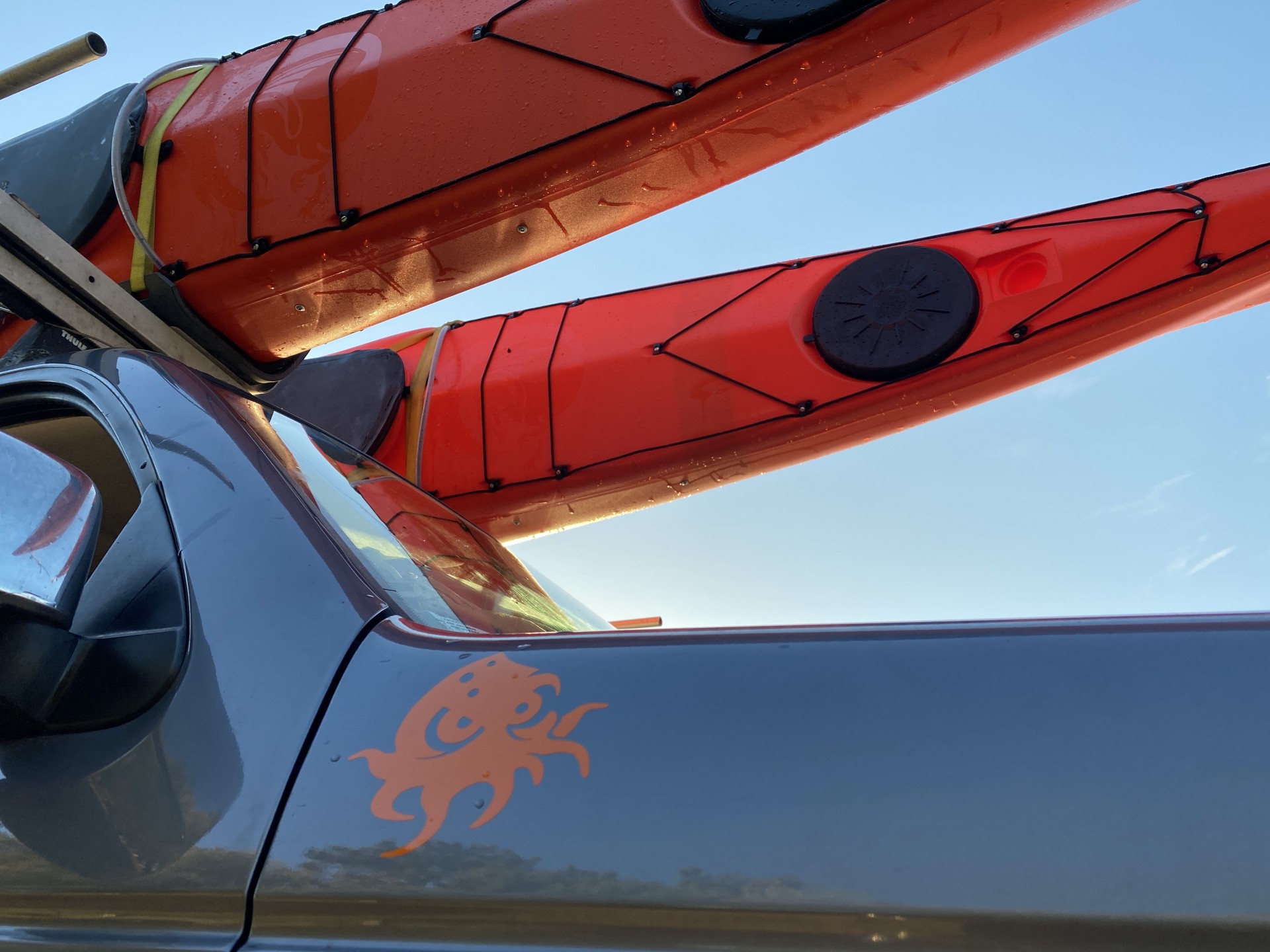 Orange sea kayaks on the roof of a vehicle.
