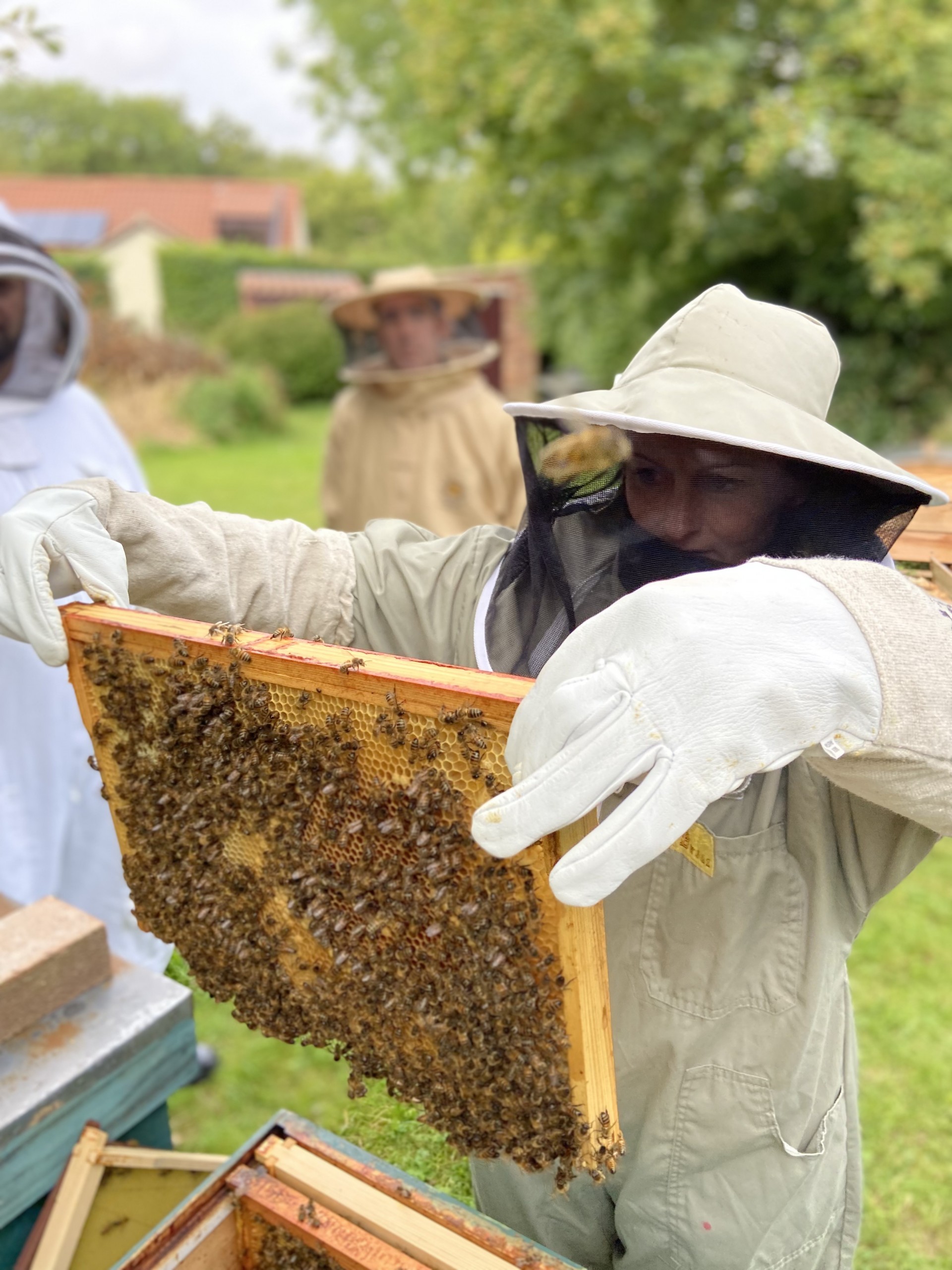 /storage/Beekeeper in beekeeper suit viewing a fresh honeycomb.
