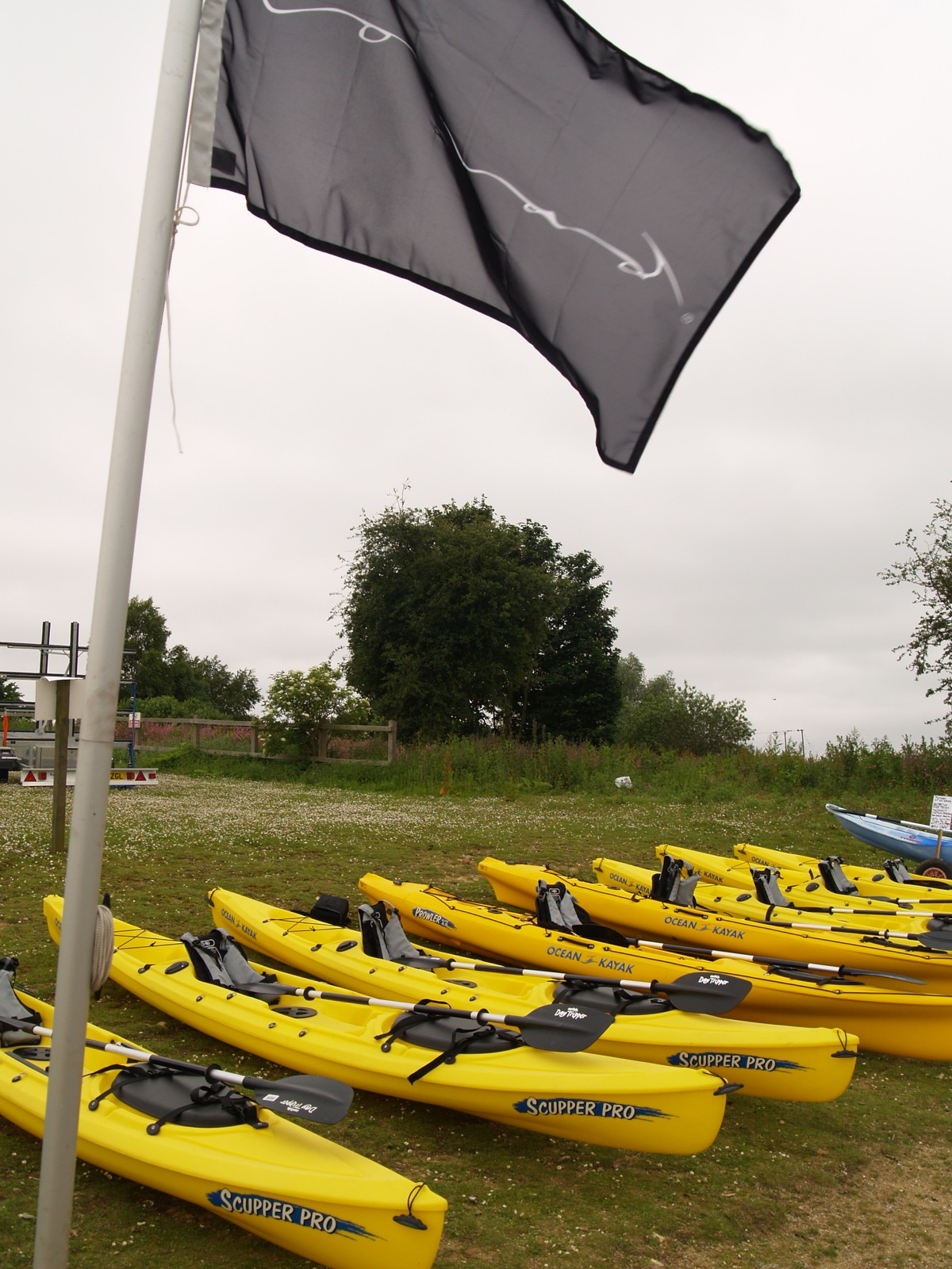 A long line of matching yellow sit-on-top kayaks