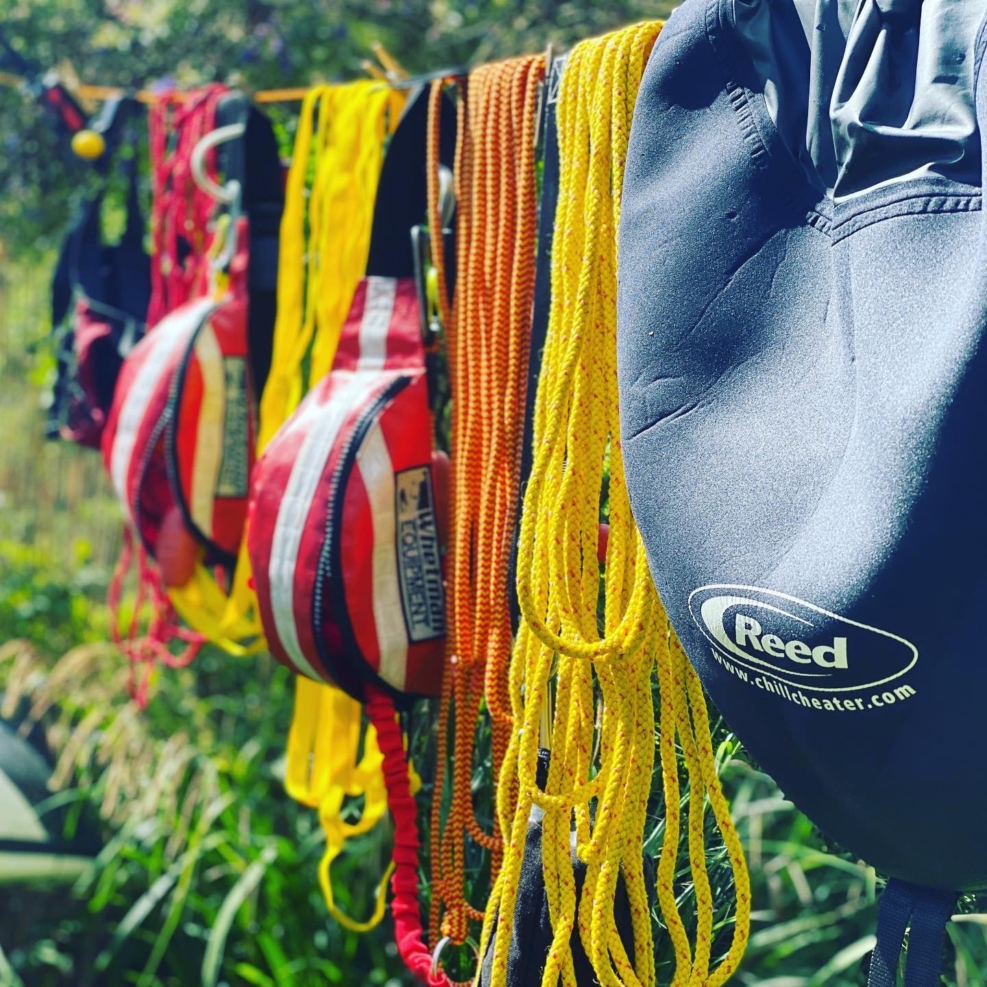Kayaking equipment drying after rinsing.