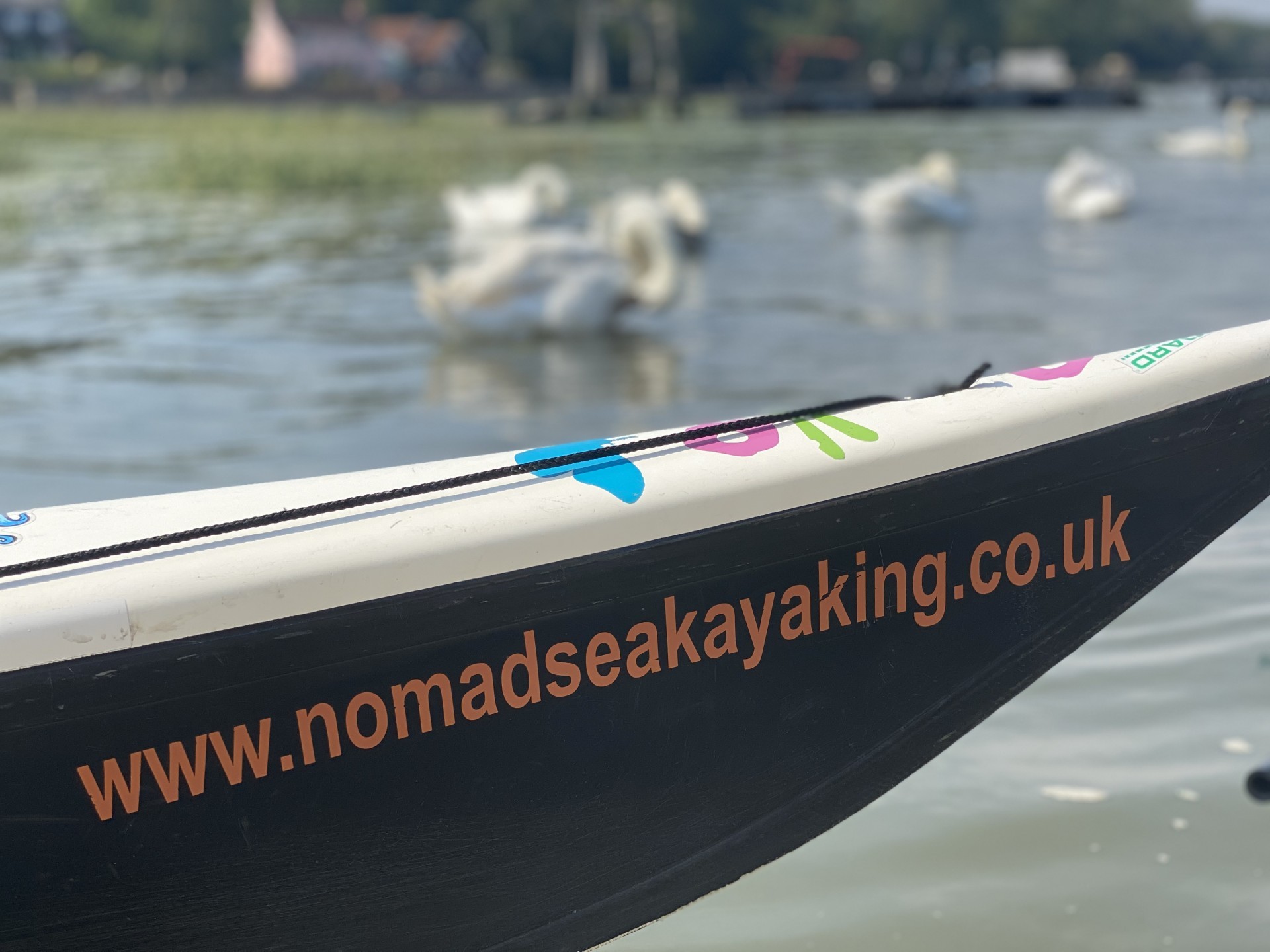 Close up of the bow of a sea kayak with swans in the background
