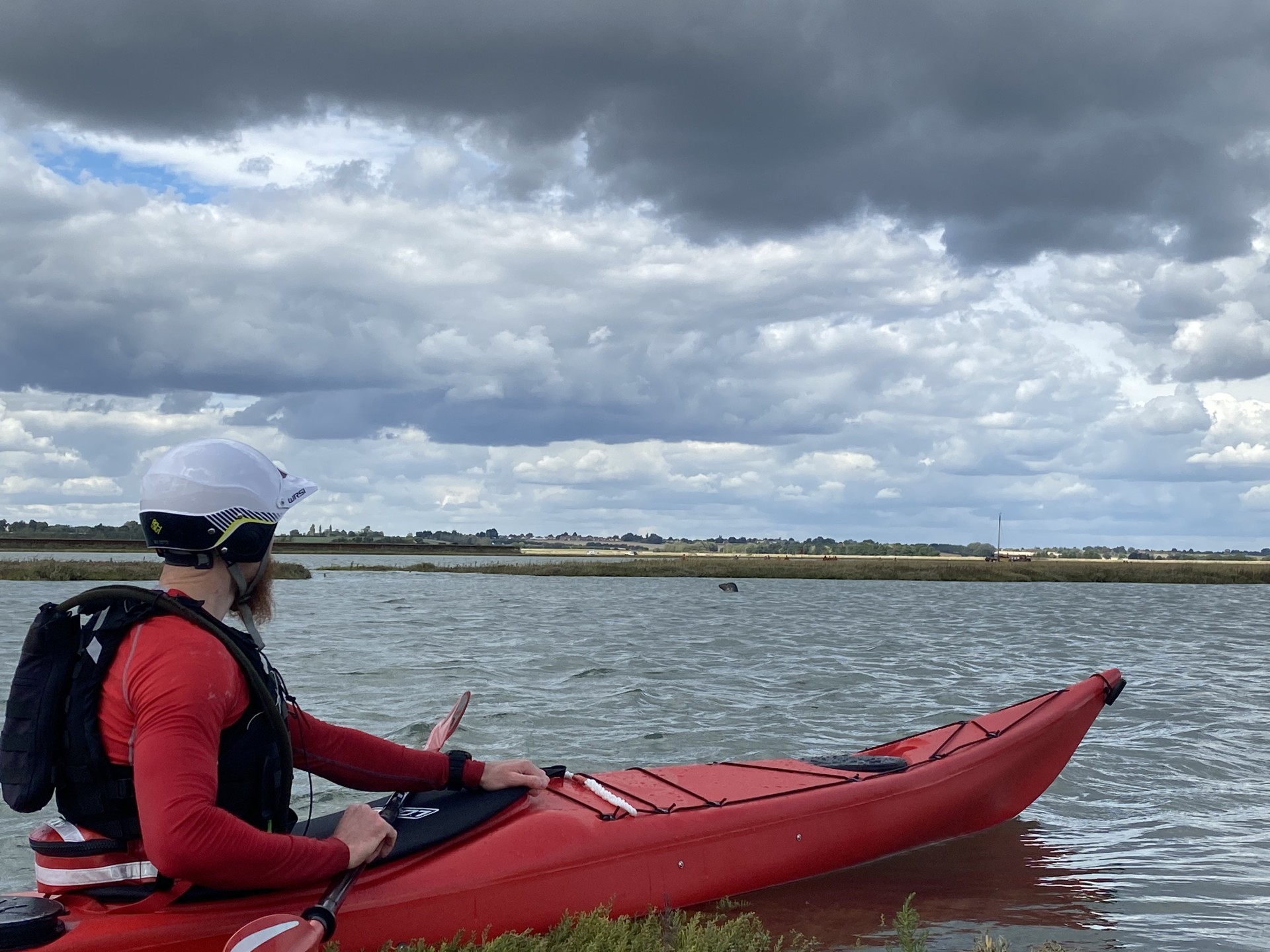 Sea kayaker with a seal in the background with NOMAD Sea Kayaking.