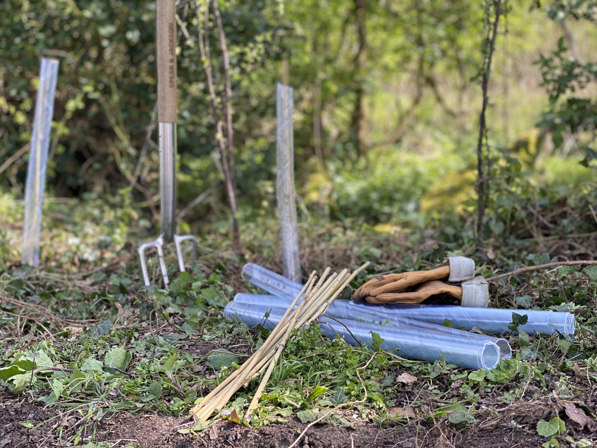 Planting saplings with NOMAD Community Projects.