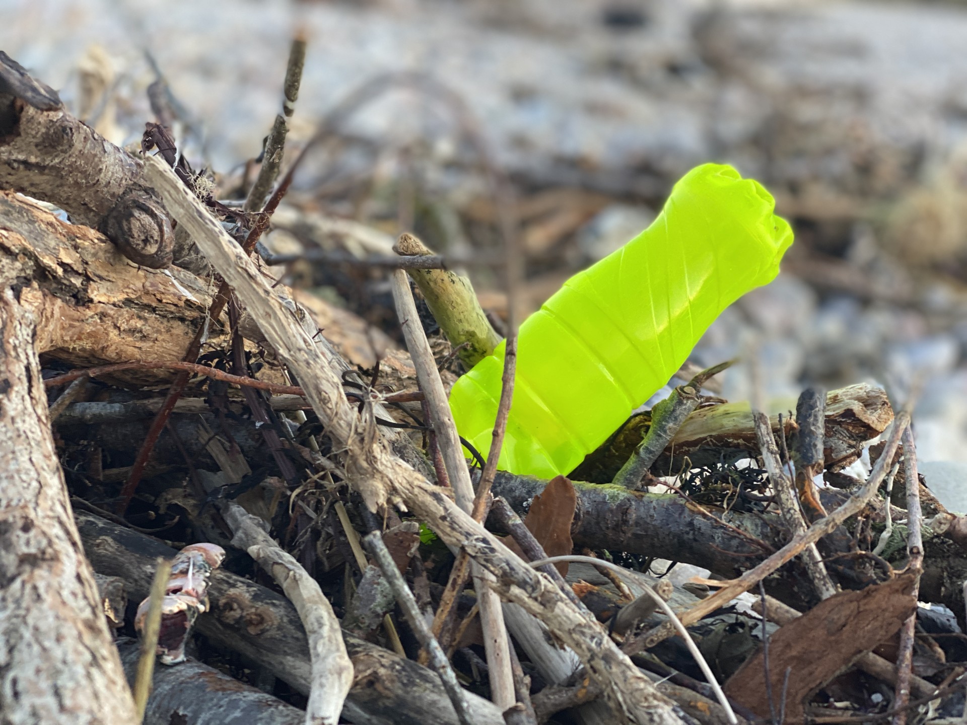 Green plastic bottle amongst natural jetsam on a Suffolk beach.