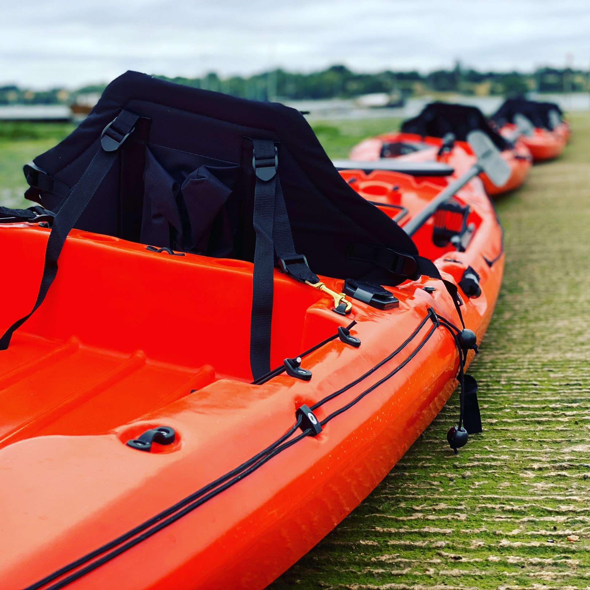 Sit-on-top kayaks with canvas seats in a long line awaiting launch