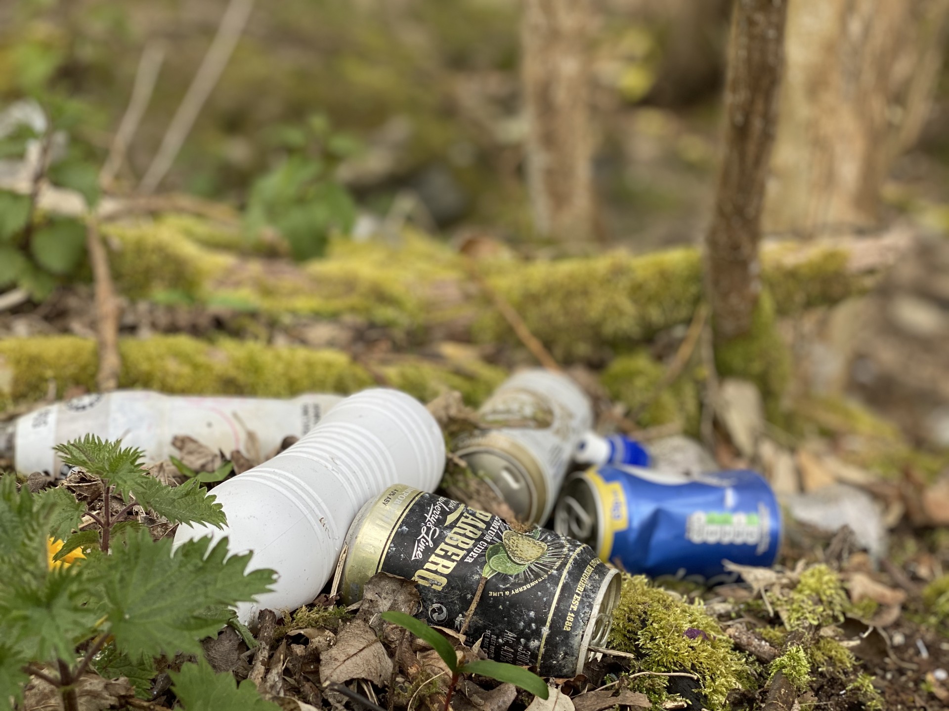 Tins and plastic on the forest floor.