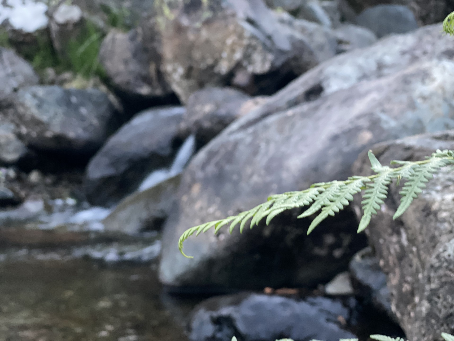 Fresh water at wild camp site NOMAD Sea Kayaking