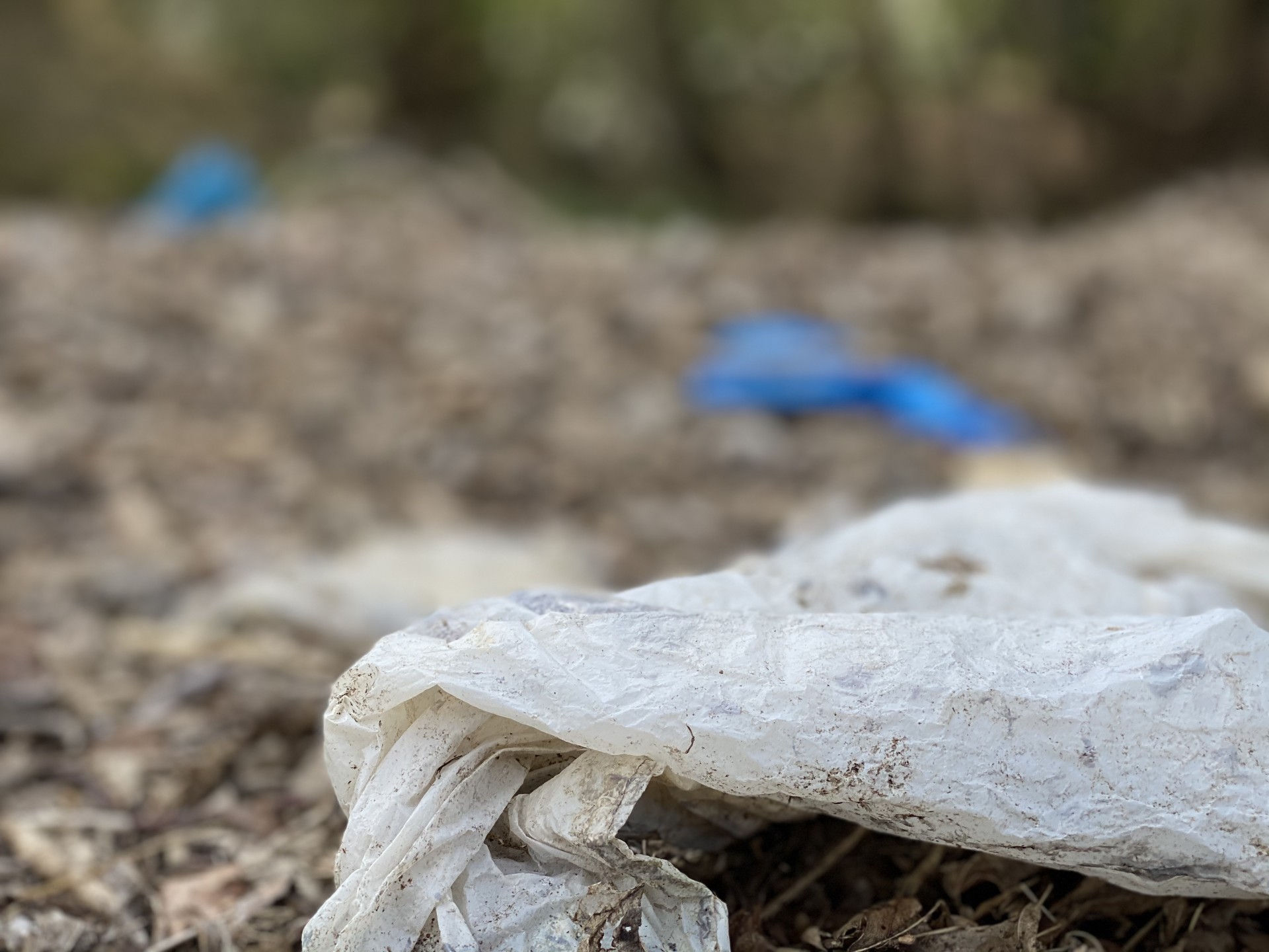 Thick white plastic bag discarded pin a beach.