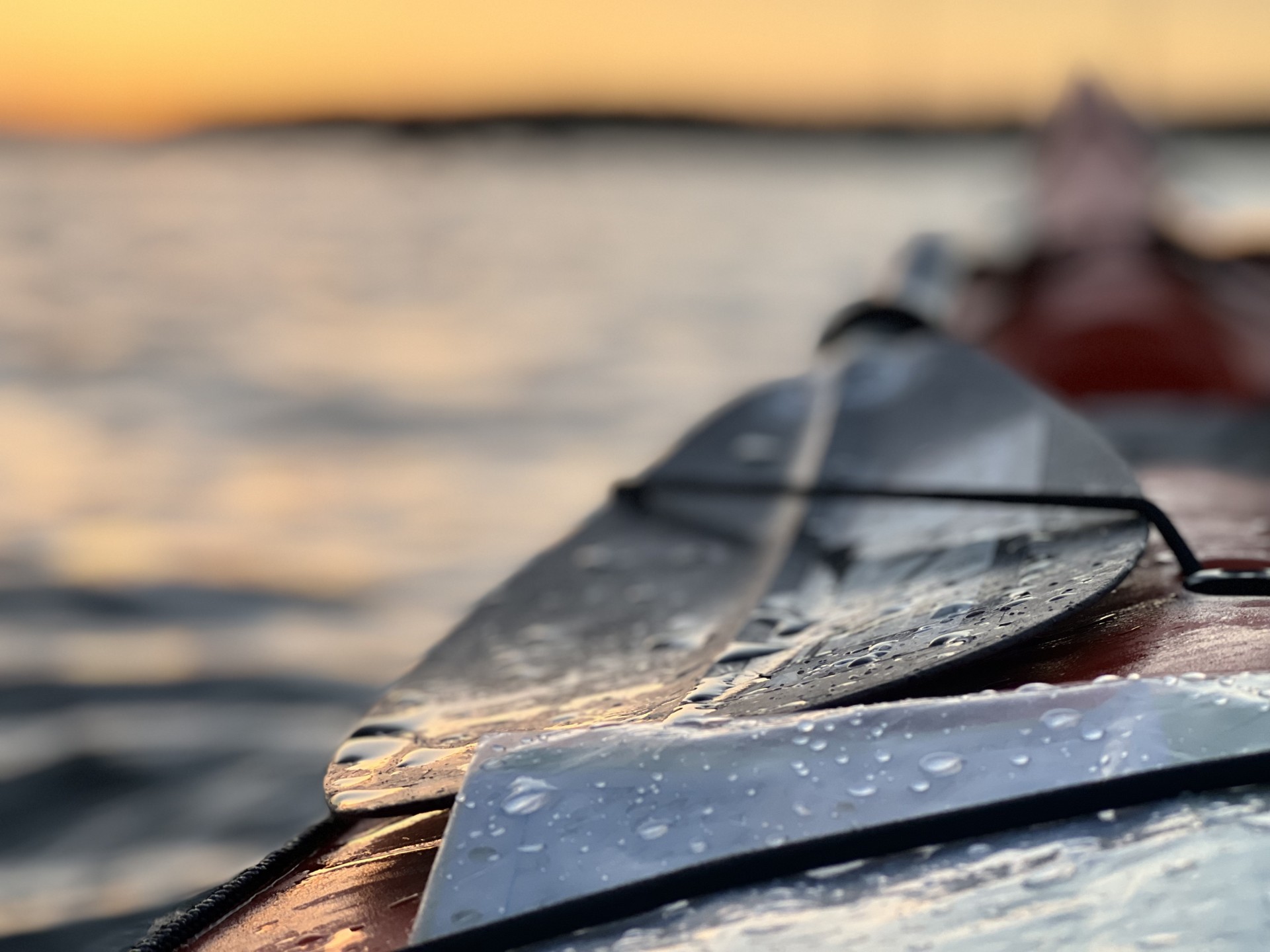 Spare paddle strapped to a sea kayak.