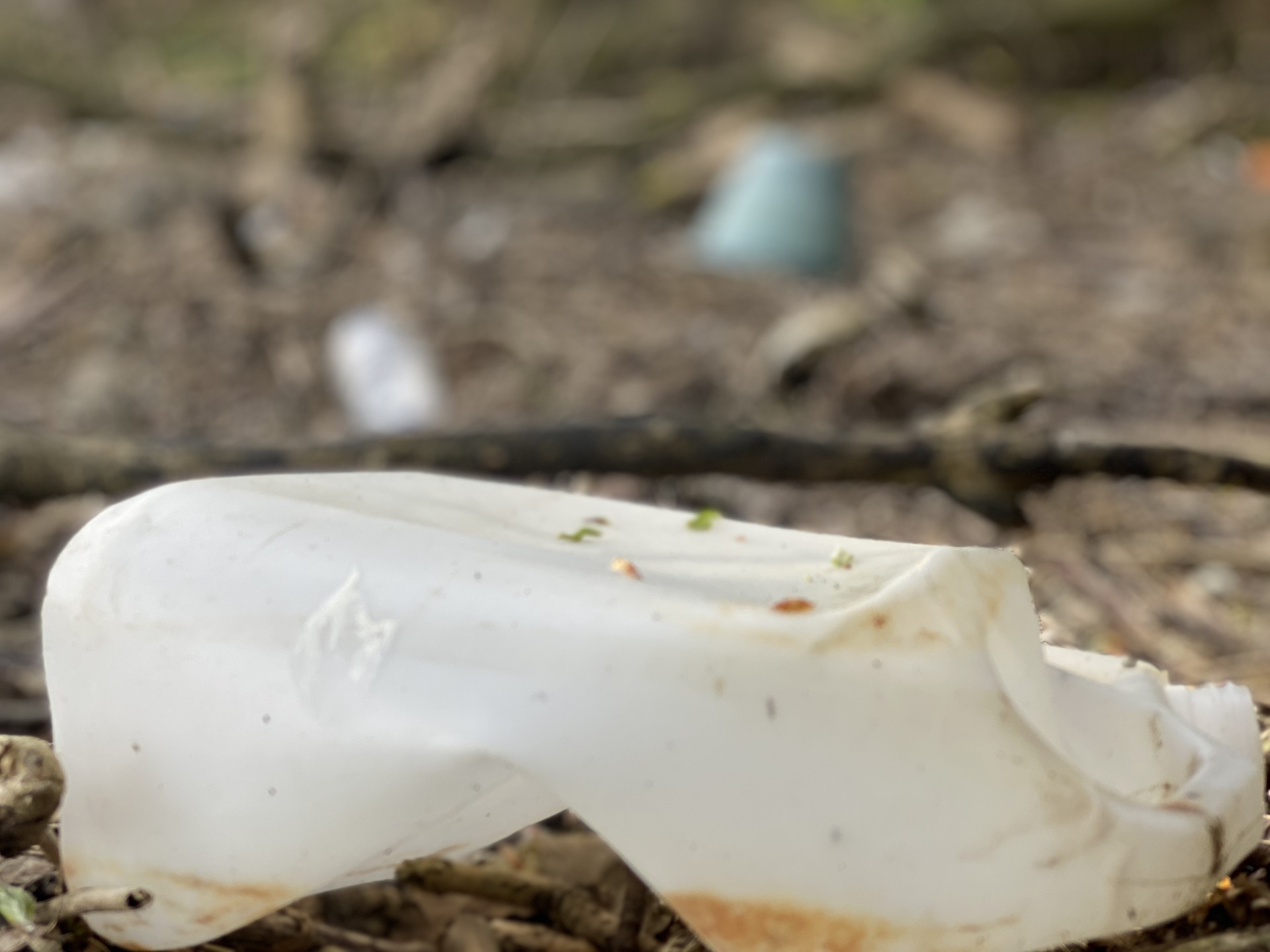 Plastic on a Suffolk beach.