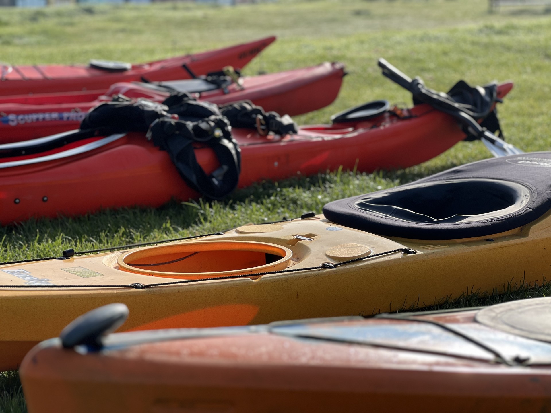 Sea kayaks on the beach with NOMAD Sea Kayaking.