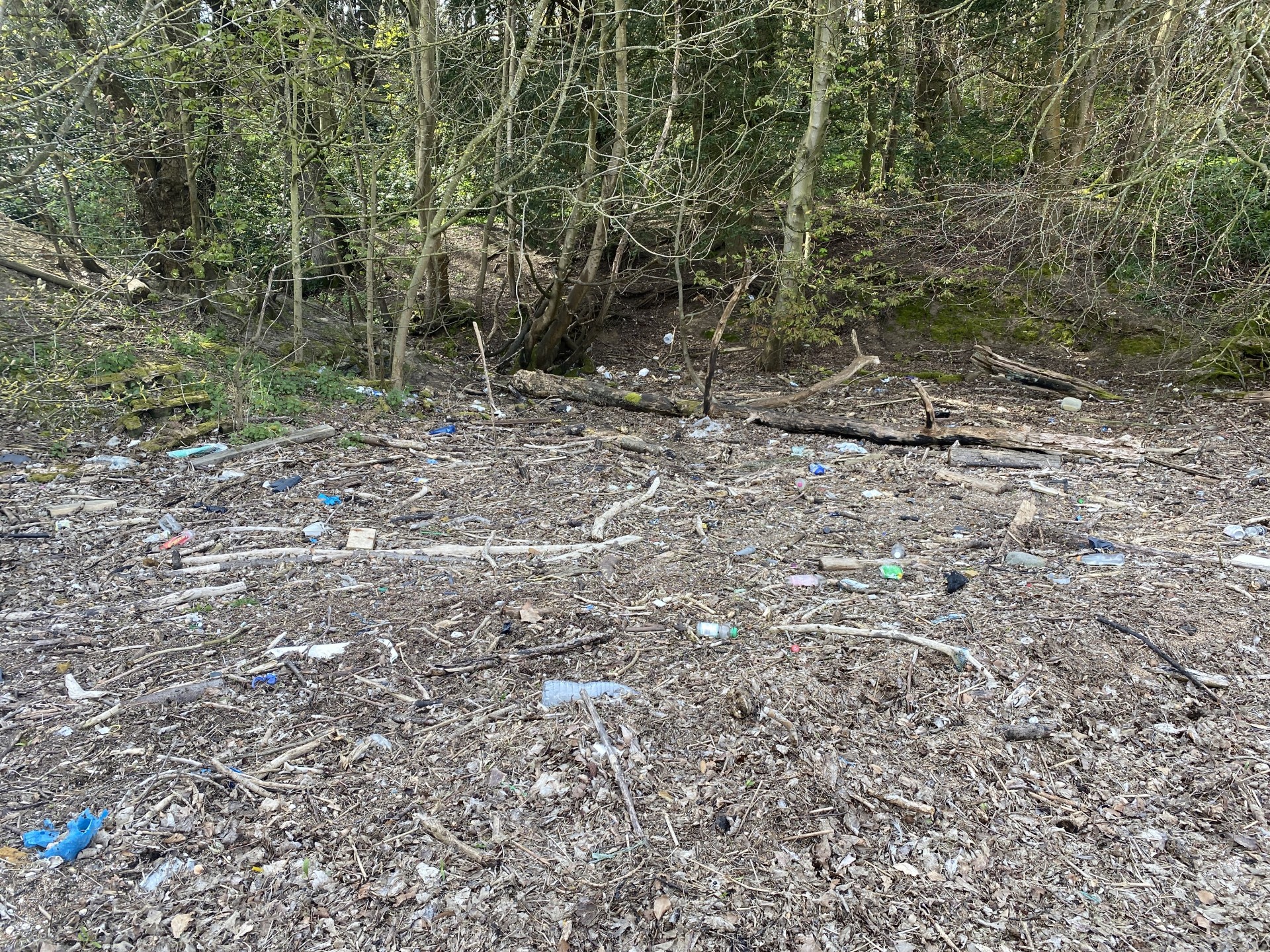 A refuse strewn beach in Woolverstone, Suffolk.