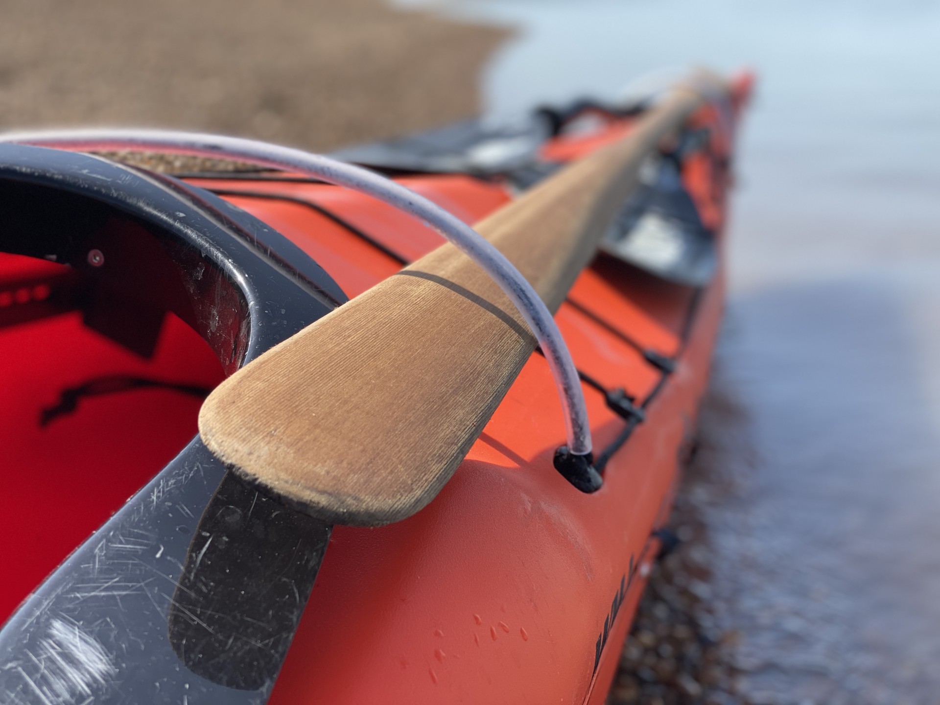 Greenland paddle on an orange sea kayak.