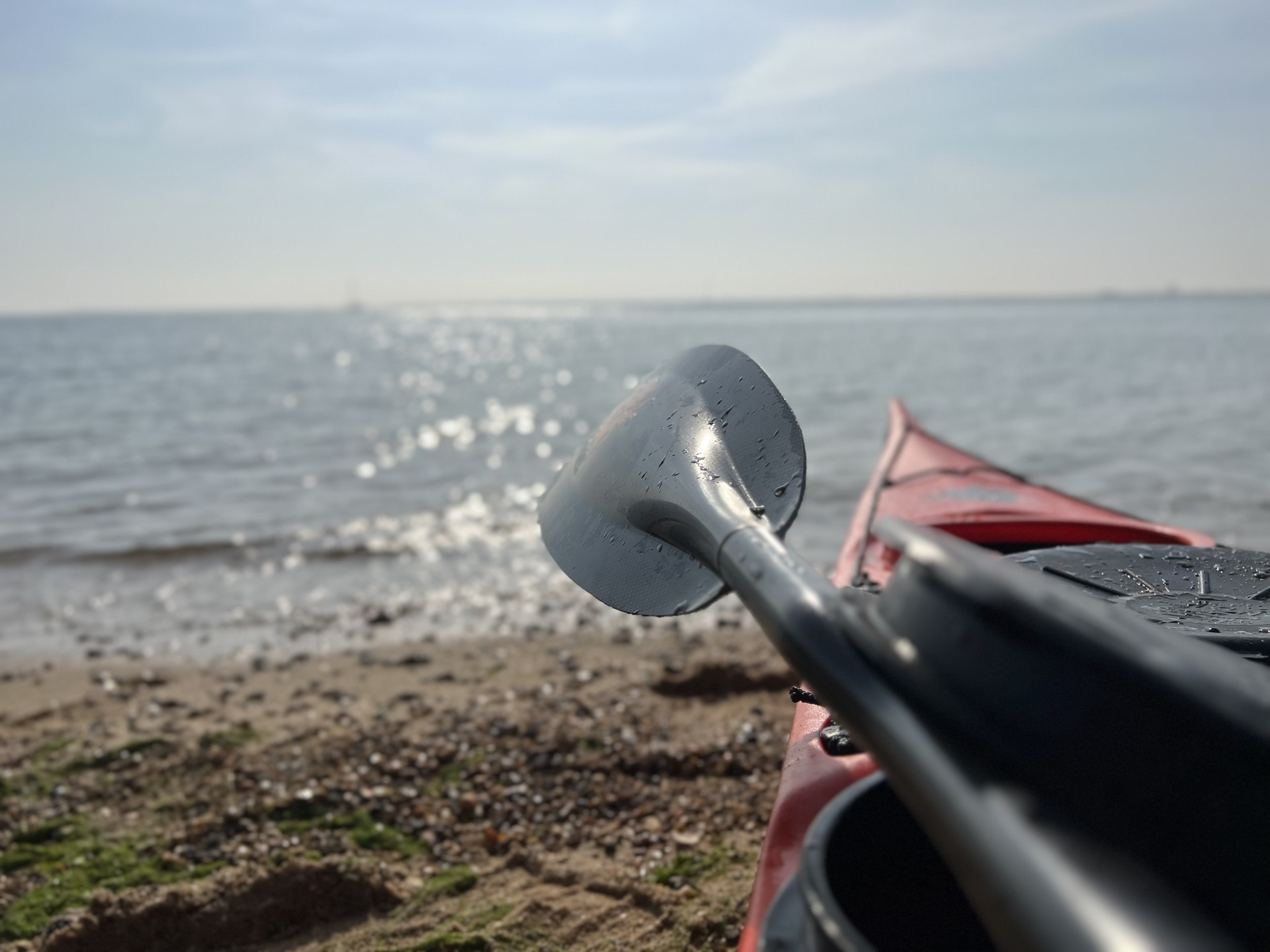 All black fun carbon crankshaft sea kayak paddle from NOMAD Sea Kayaking.