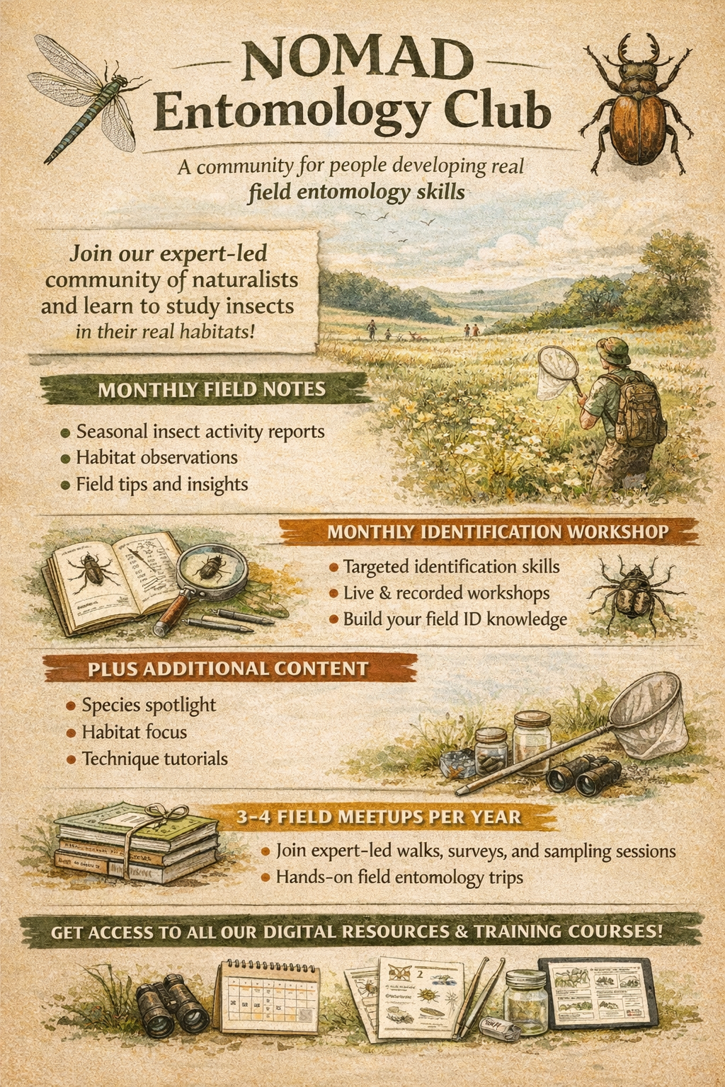 The NOMAD Entomology Club with NOMAD Field Entomology and Naturalist Programme (FENP)