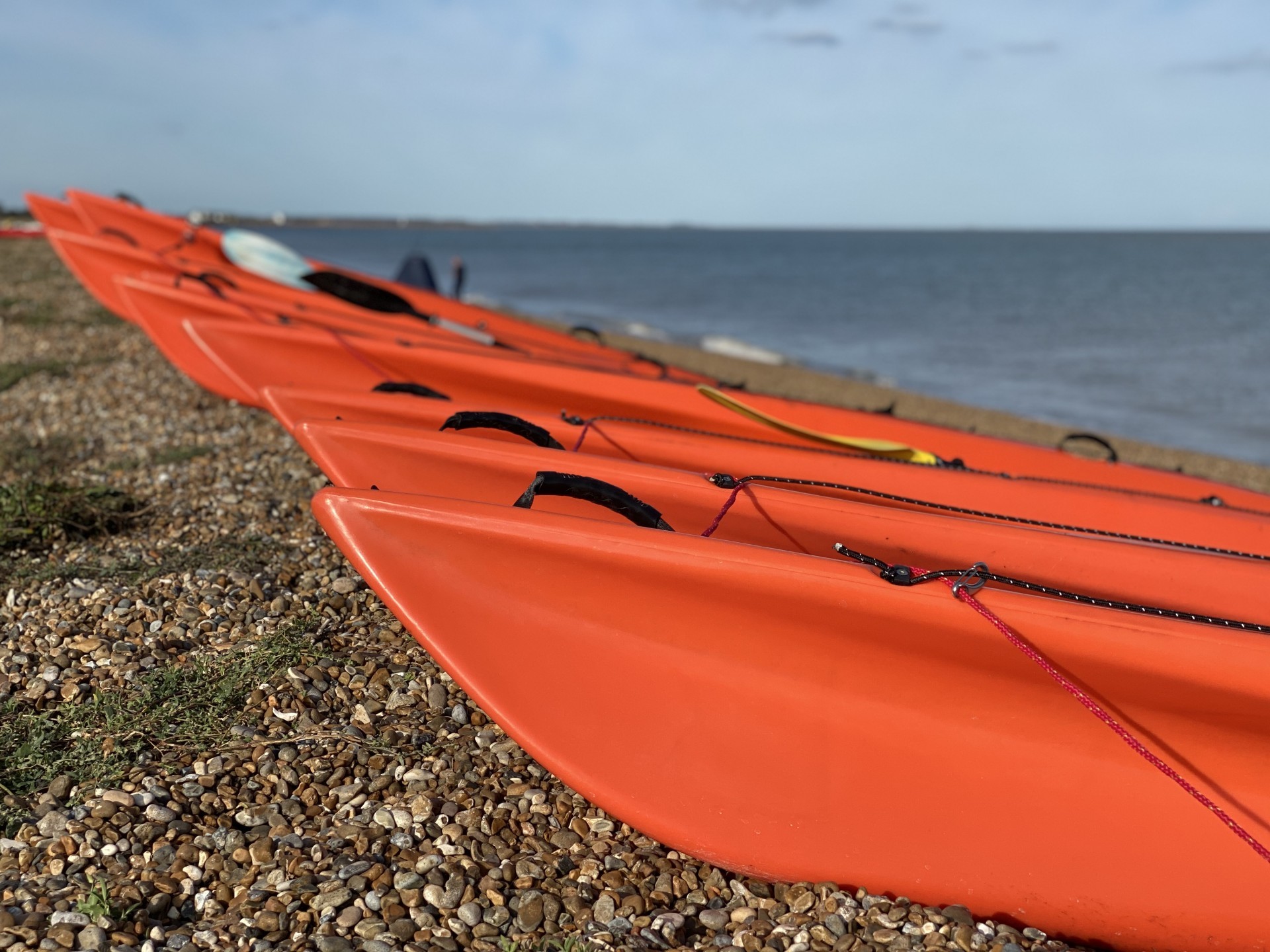 A long line of orange kayak bows on a shingle beach in the sunshine